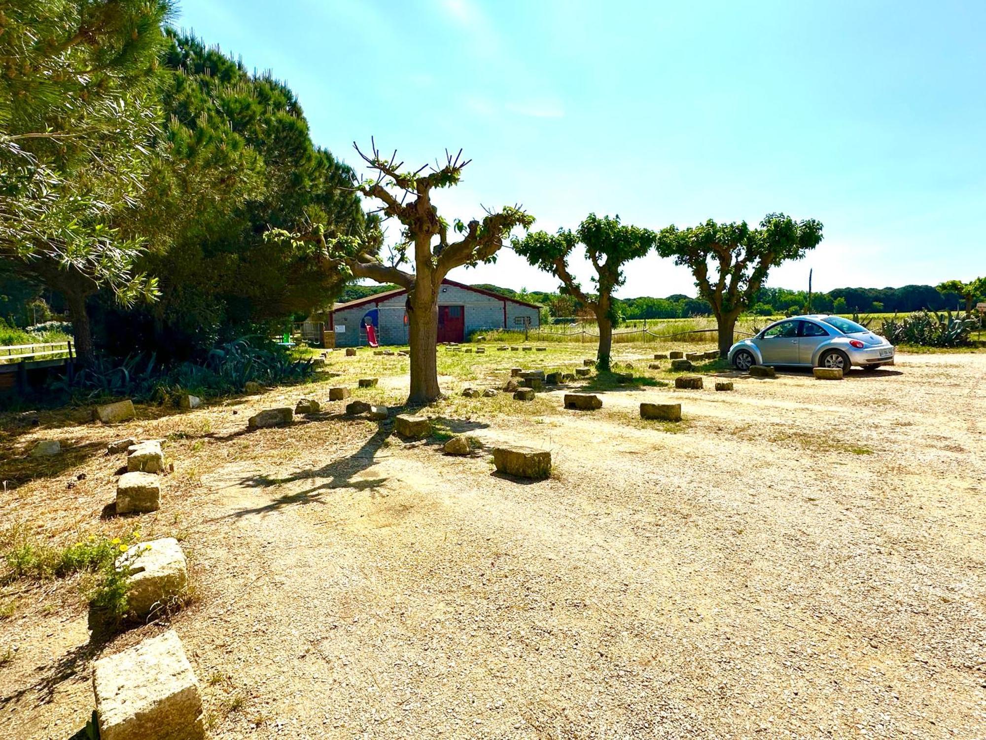 Les Appartements Du Mas - Rose Marie Aigues-Mortes Εξωτερικό φωτογραφία